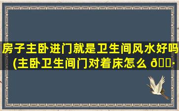 房子主卧进门就是卫生间风水好吗(主卧卫生间门对着床怎么 🌷 装修 🌷 )